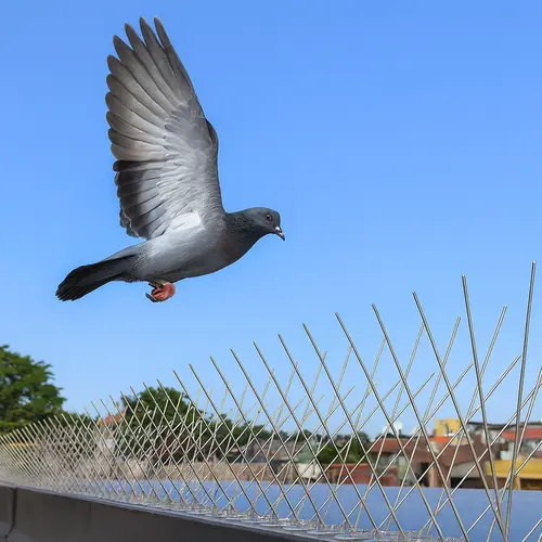 Quality Anti Bird Spikes by NR Safety Solutions